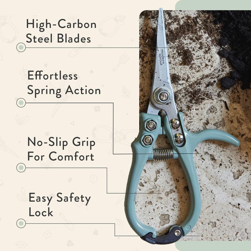 Modern Sprout Hand Pruners & Shears Set with Blister Pack - Lightweight Gardening Tools with Easy Lock - Sharp Carbon Steel Blades -Rust Resistant Scissors for Herbs, Flowers - Sage - Image 4